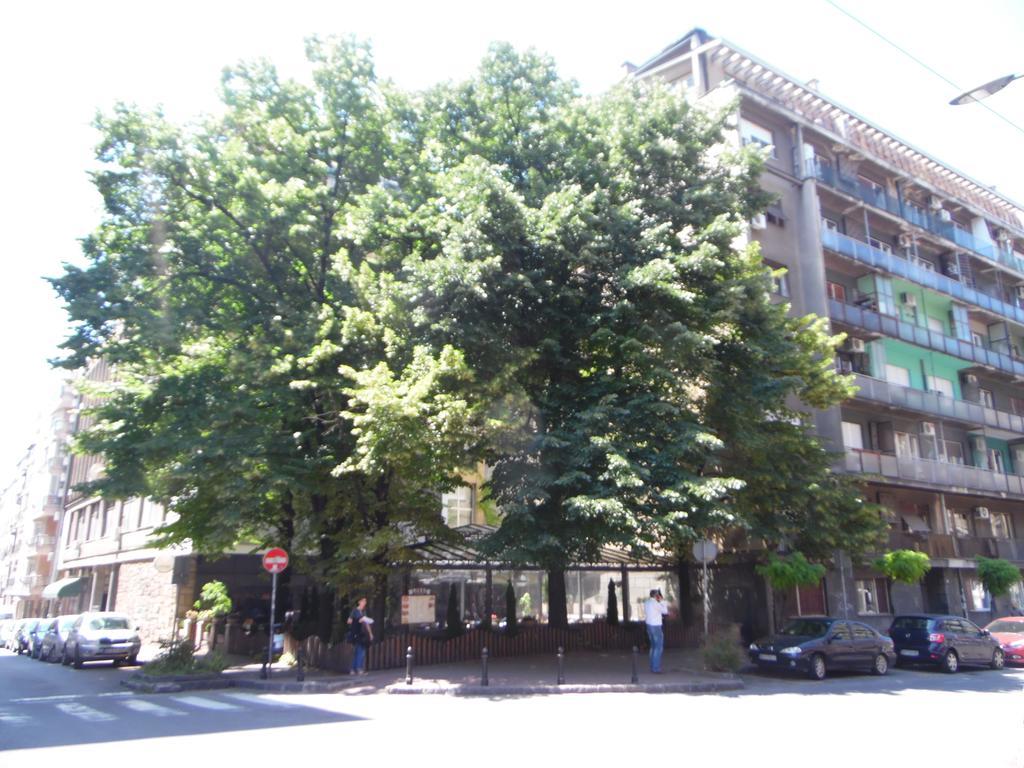 Apartment Vracar Beograd Eksteriør bilde