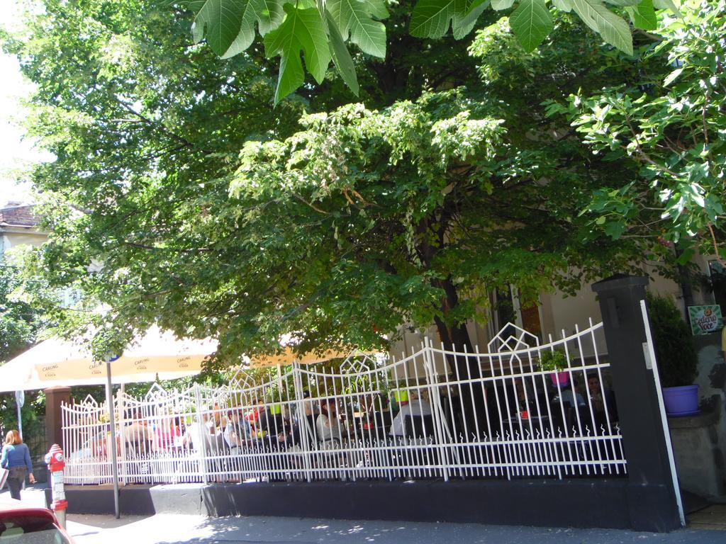 Apartment Vracar Beograd Rom bilde