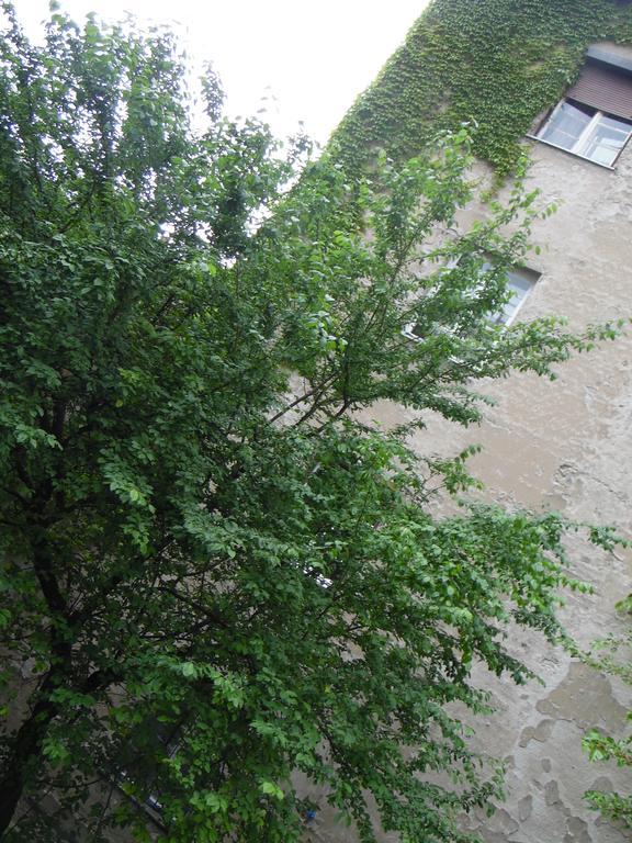 Apartment Vracar Beograd Eksteriør bilde